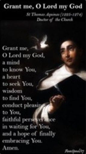 St. Thomas Aquinas (1225-1274), Doctor Of The Church