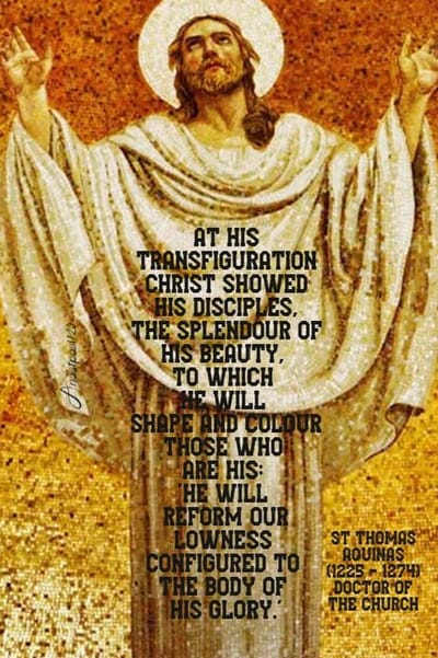 St. Thomas Aquinas (1225-1274) , Doctor Of The Church